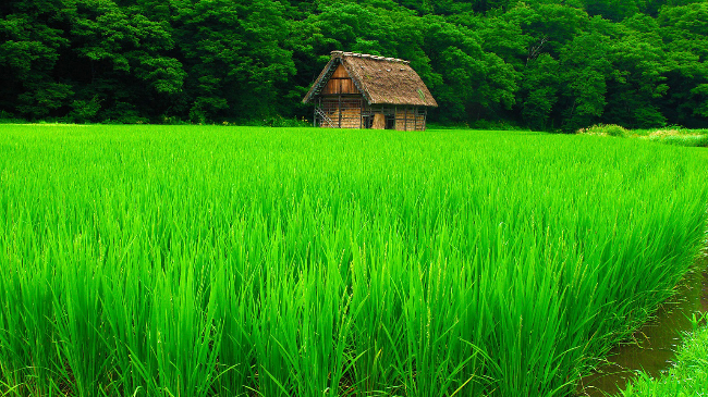 理光RICOH打印机报SC102错误代码可能原因及解决方案